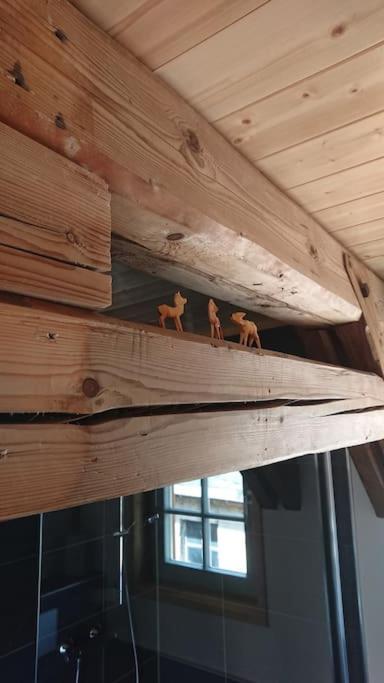 Apartment Mothsgut - Moderne Auf Dem Bauernhof Im Erzgebirge Oelsnitz (Erzgebirge)